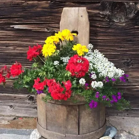 Apartment Antrona By Interhome Saas-Almagell