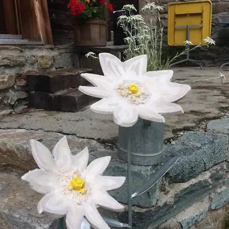 Antrona By Interhome Appartamento Saas-Almagell